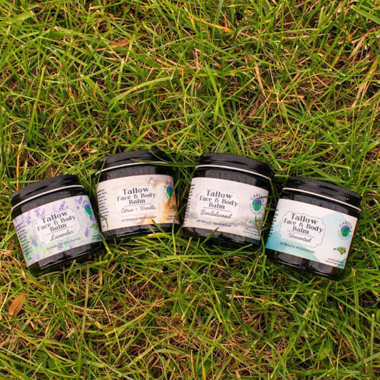 Tallow Face & Body Balm